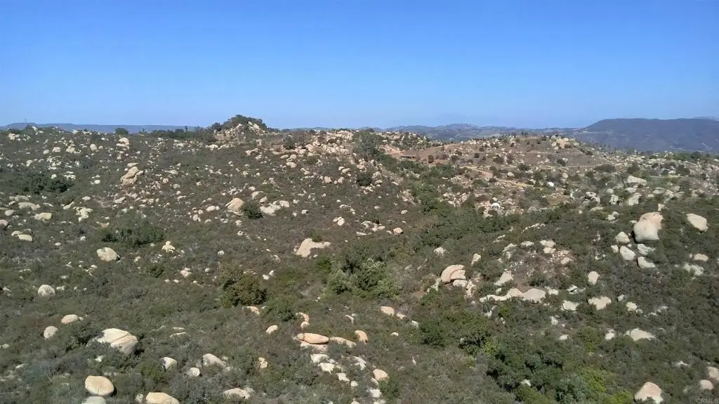Picture 40