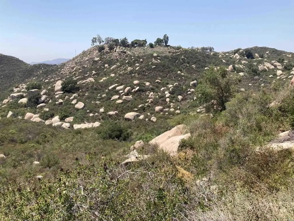Picture 30