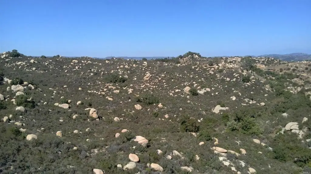 Picture 39