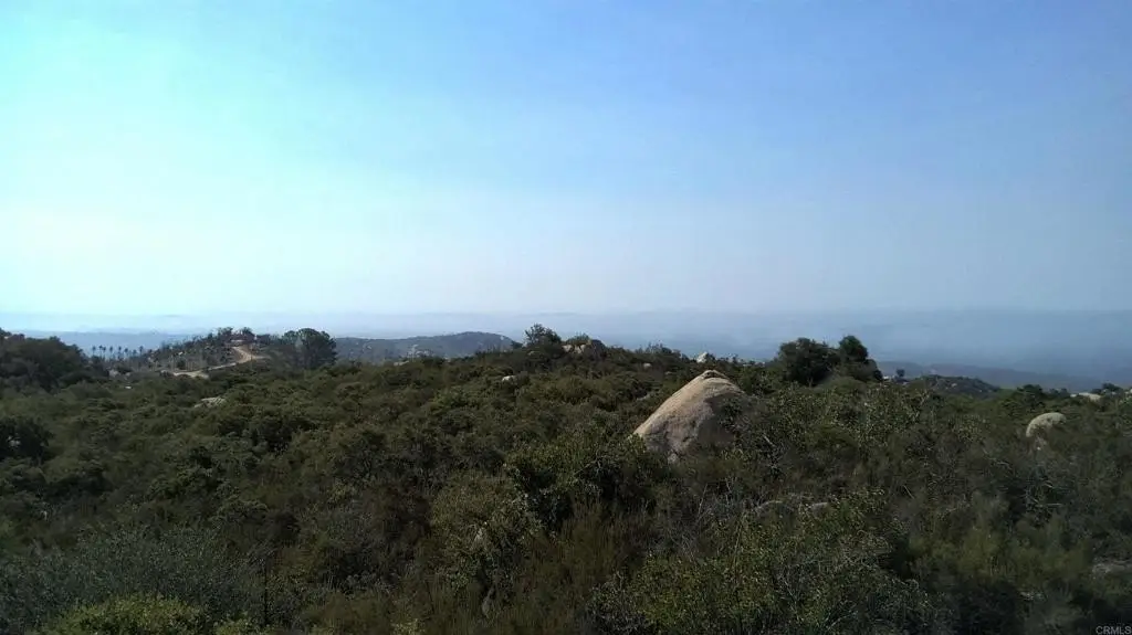 Picture 22