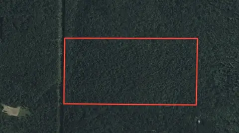 Ozark Timberland Hunting and Recreation