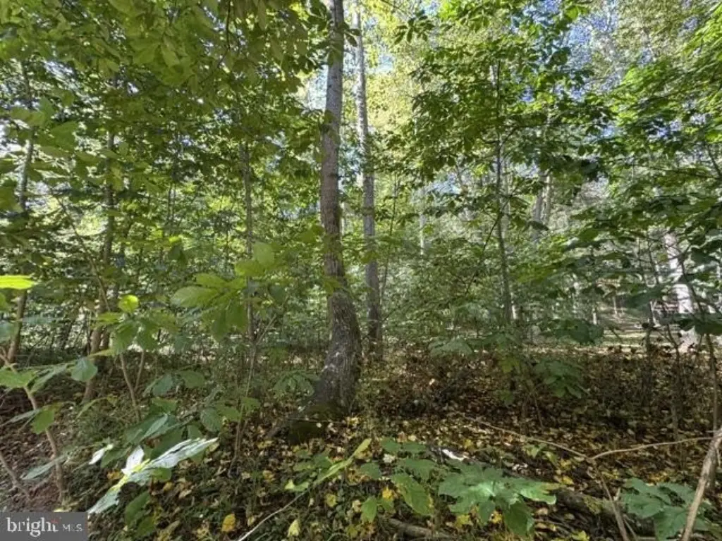 Picture 10