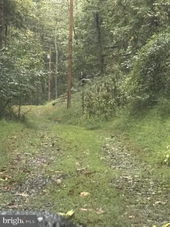 Picture 24
