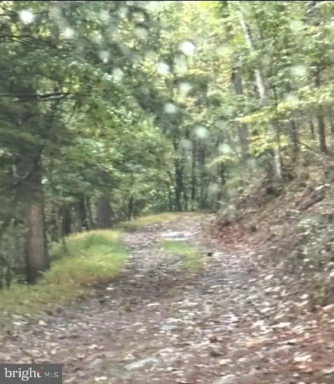 Picture 28