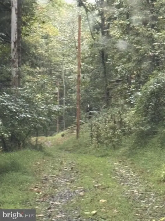 Picture 25