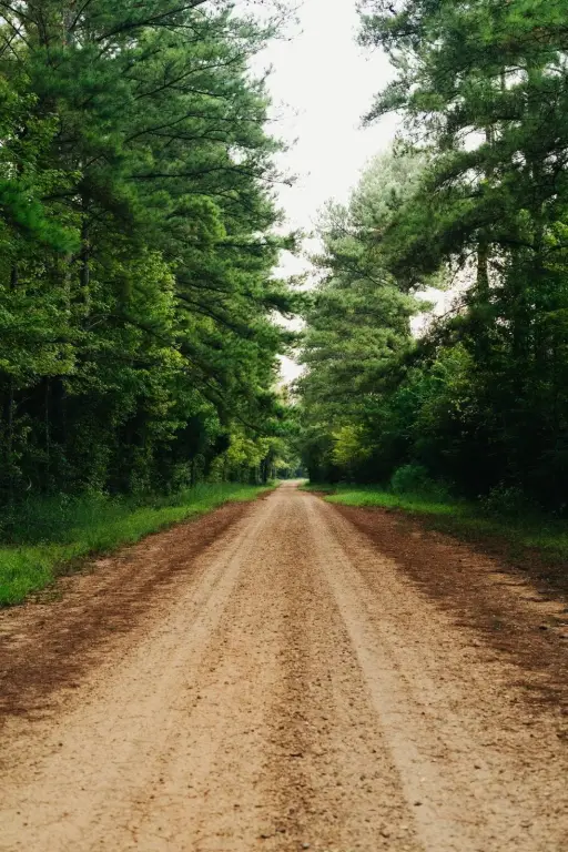 Picture 35