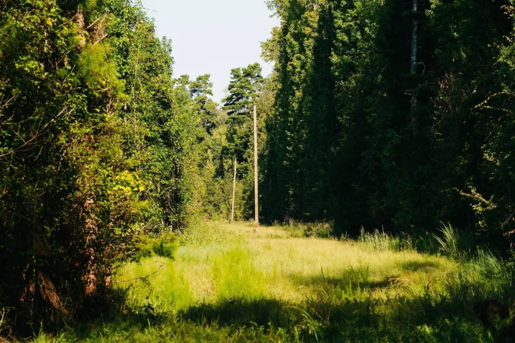 Picture 43