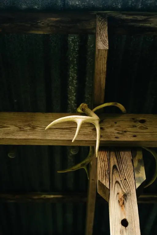 Picture 36