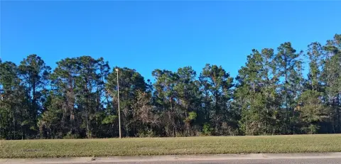 Vacant Land in Orlando, Florida