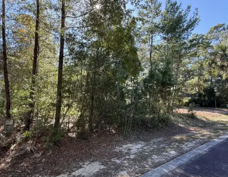 Santa Rosa Beach Vacant Land