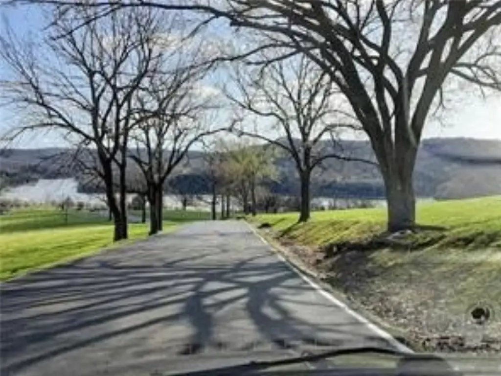 Picture 8