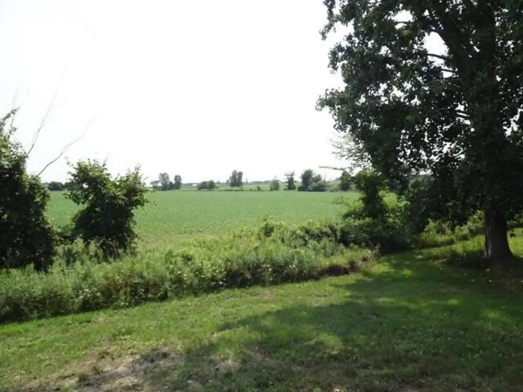 Picture 4