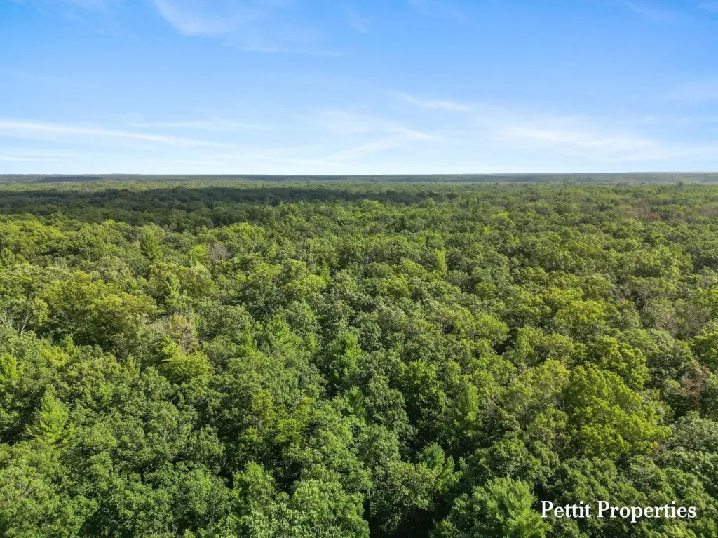 Picture 24