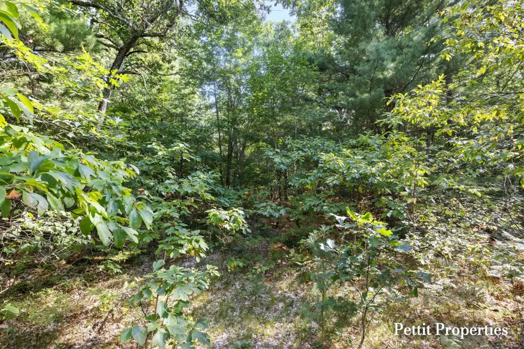Picture 12