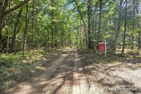 Whitetail Hunting Land