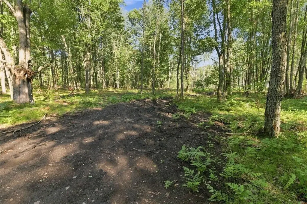 Picture 21