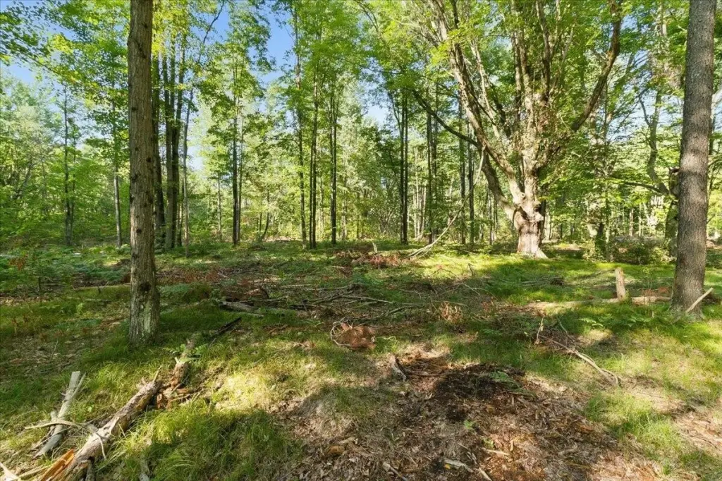 Picture 23
