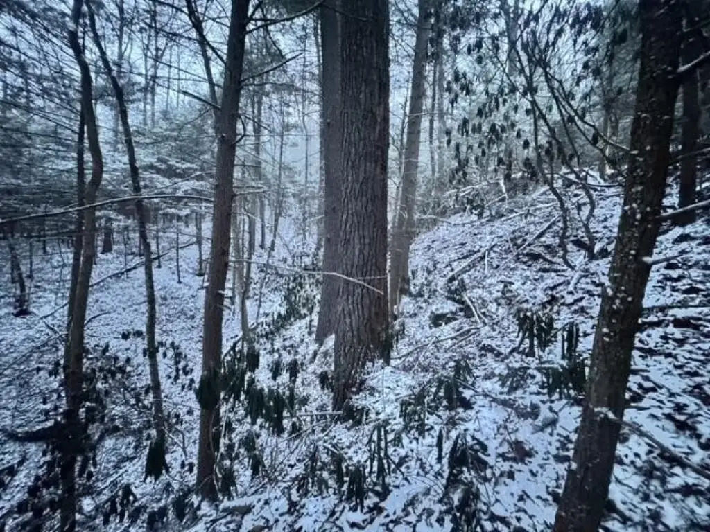 Picture 4