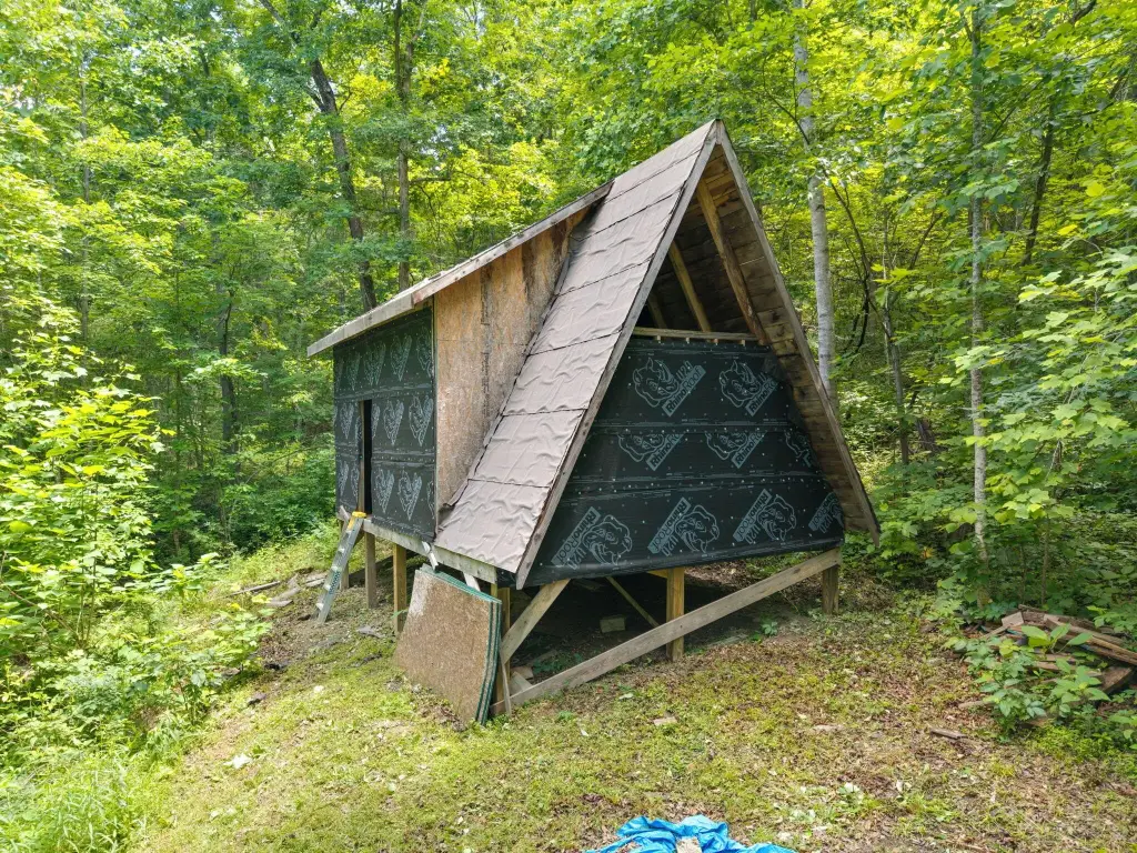 Picture 3