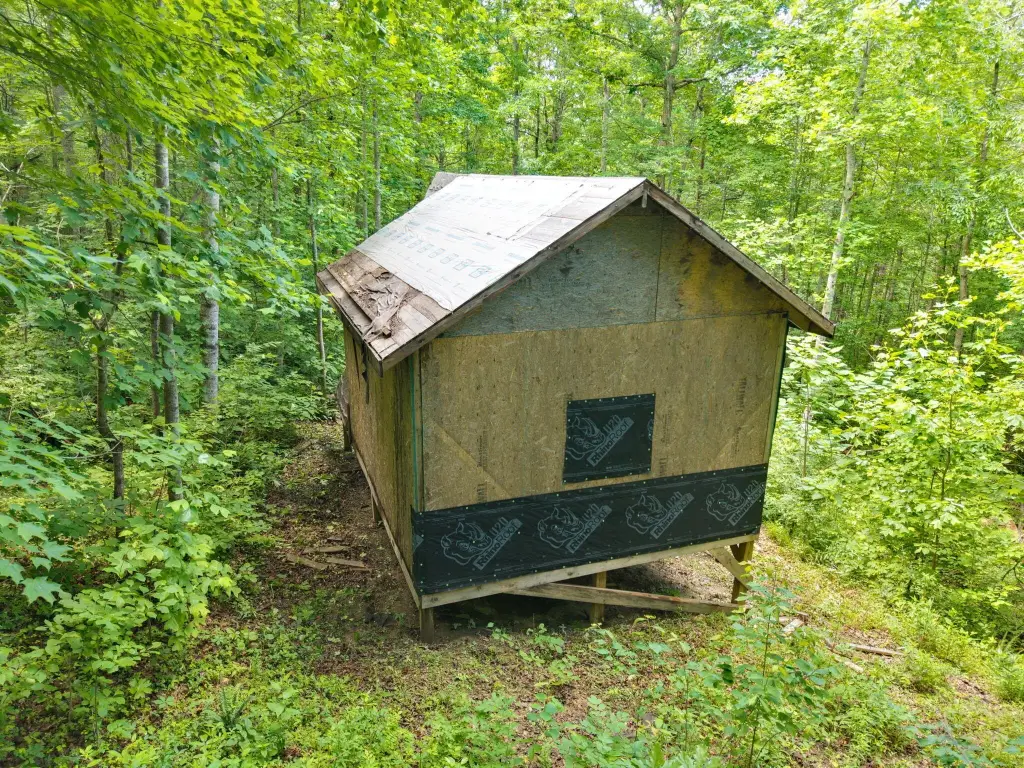 Picture 5
