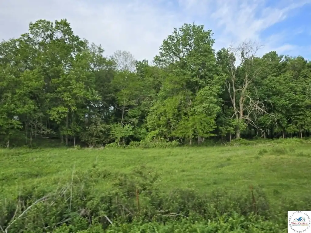 Picture 16