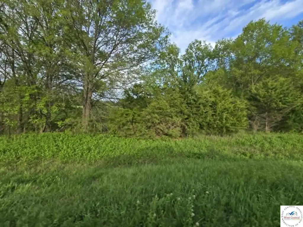 Picture 7