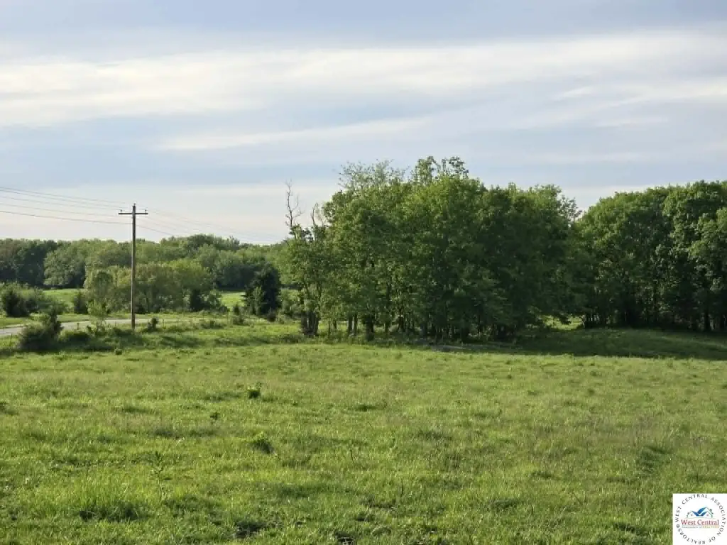 Picture 14