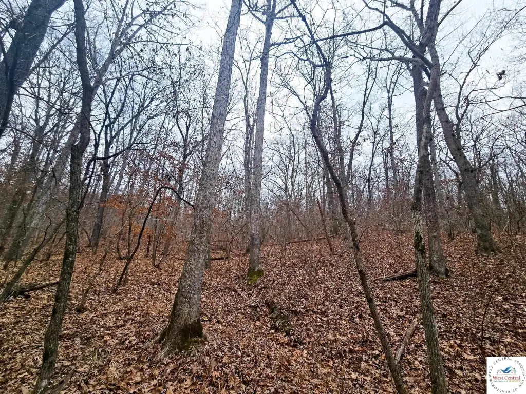 Picture 31