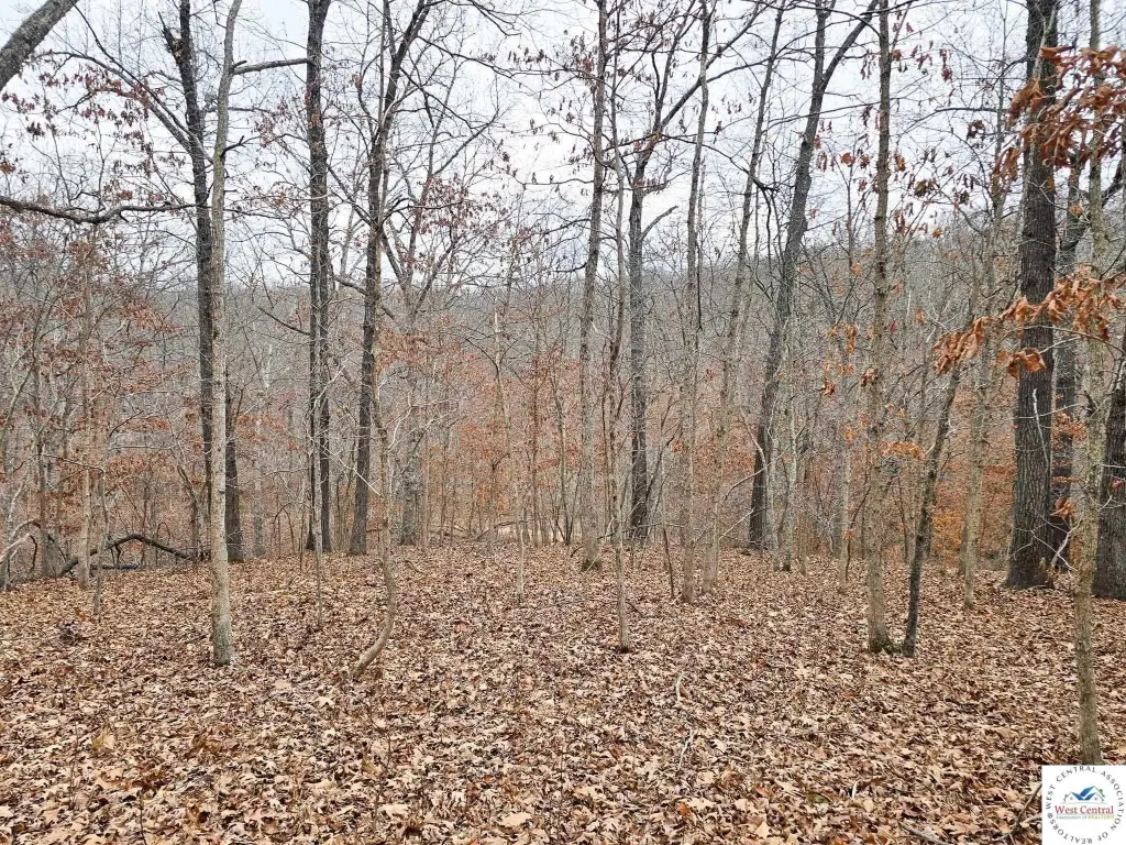 Picture 19