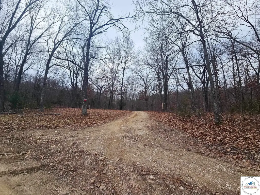 Picture 33