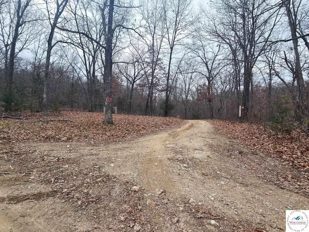 Picture 34