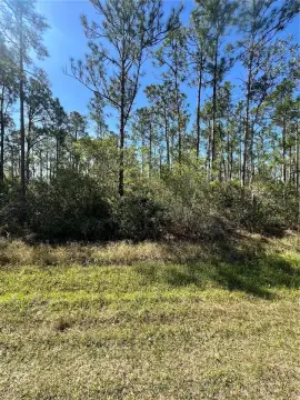 Residential Land in Golf Community