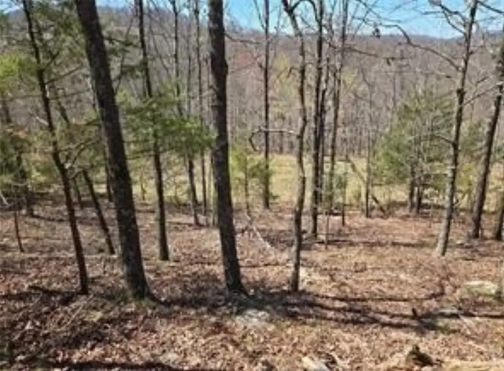 Picture 5