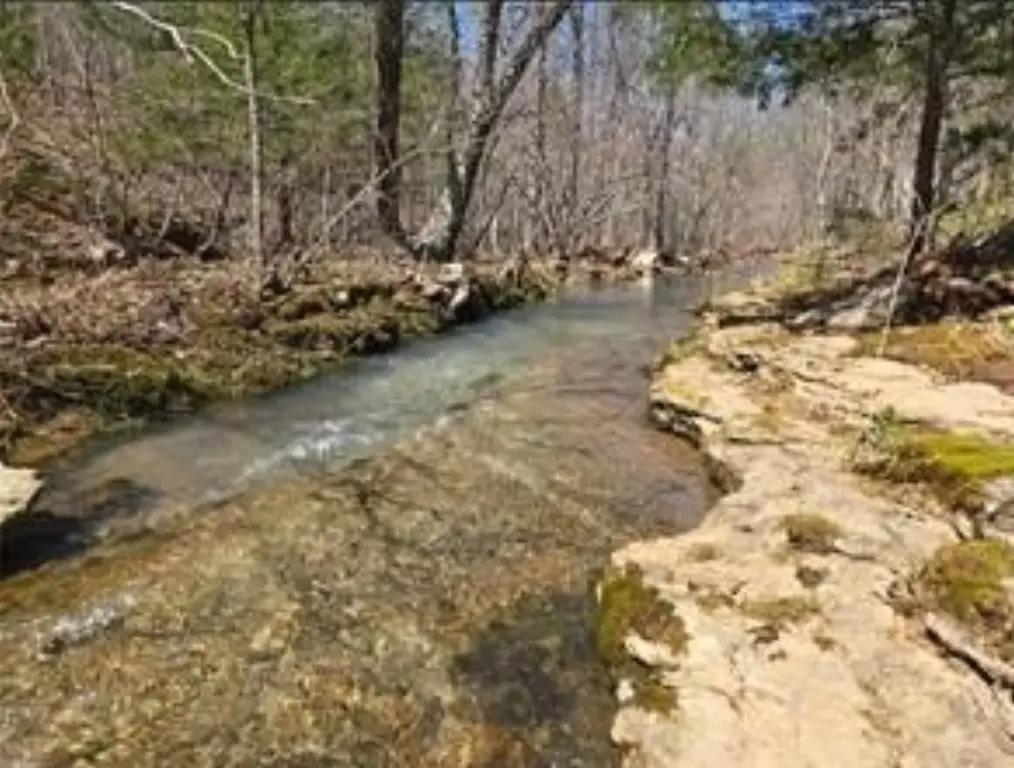 Picture 19