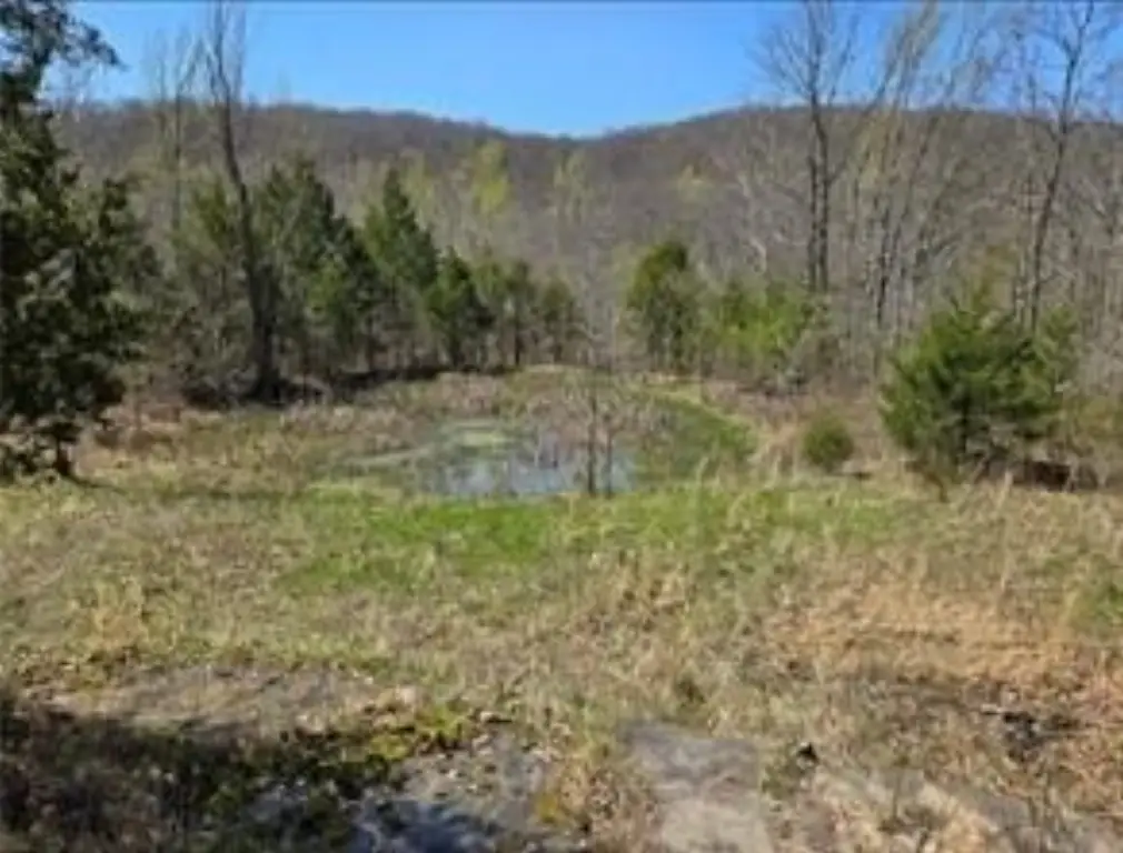 Picture 4