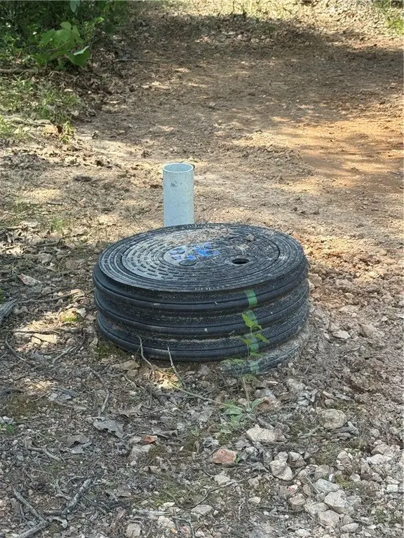 Picture 2