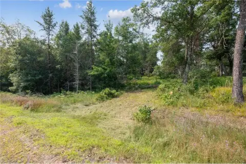 Wooded Lot with Water Frontage