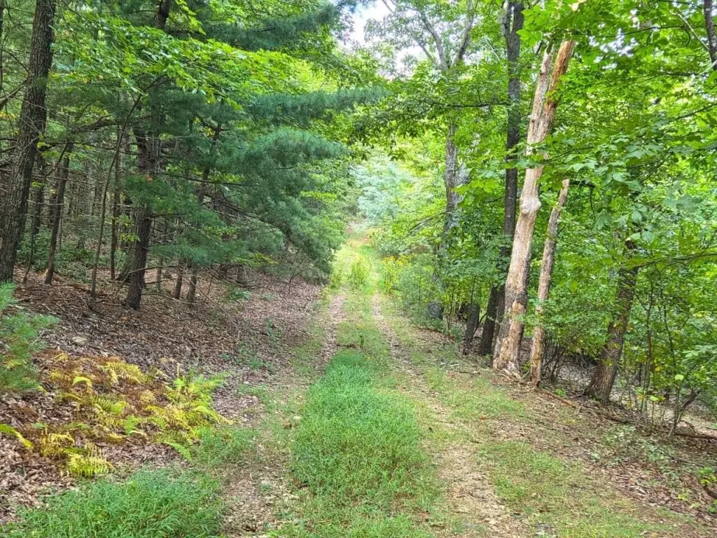 Picture 15
