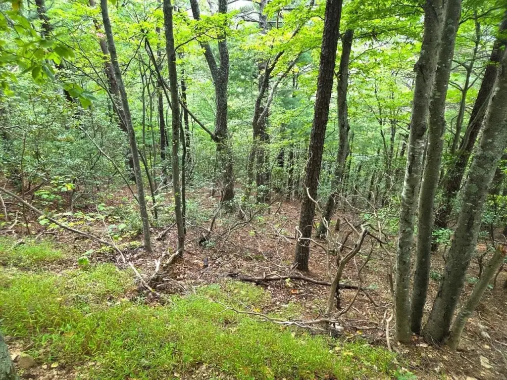 Picture 25