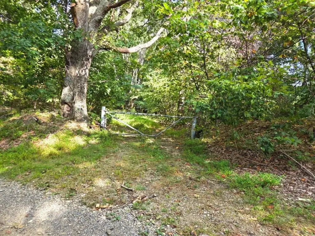Picture 27