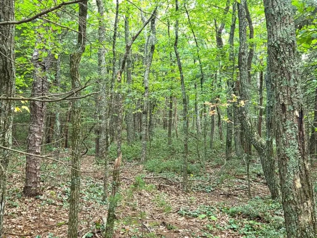Picture 19