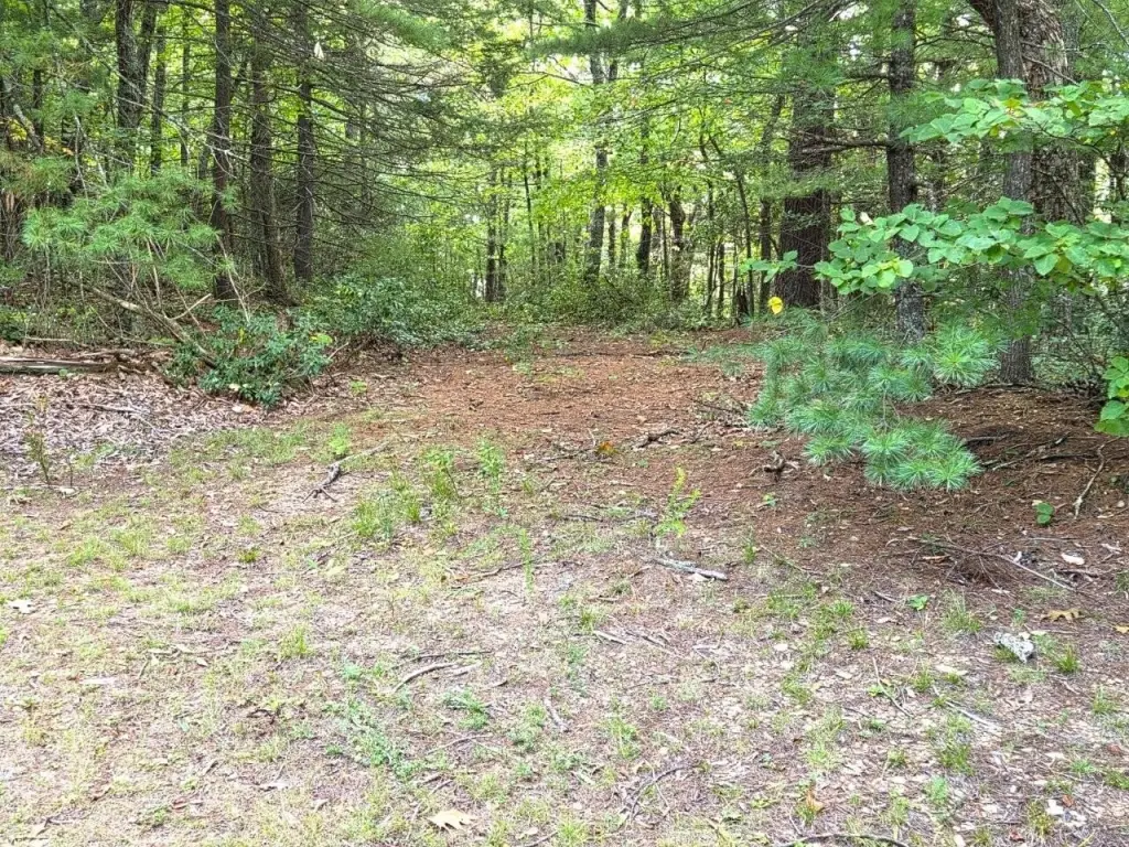 Picture 16