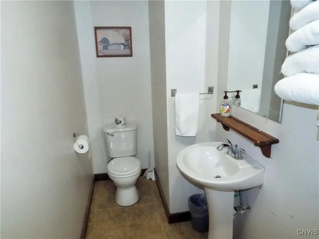 Picture 17