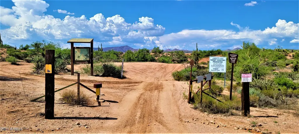 Picture 40