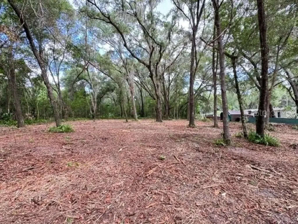 Picture 7