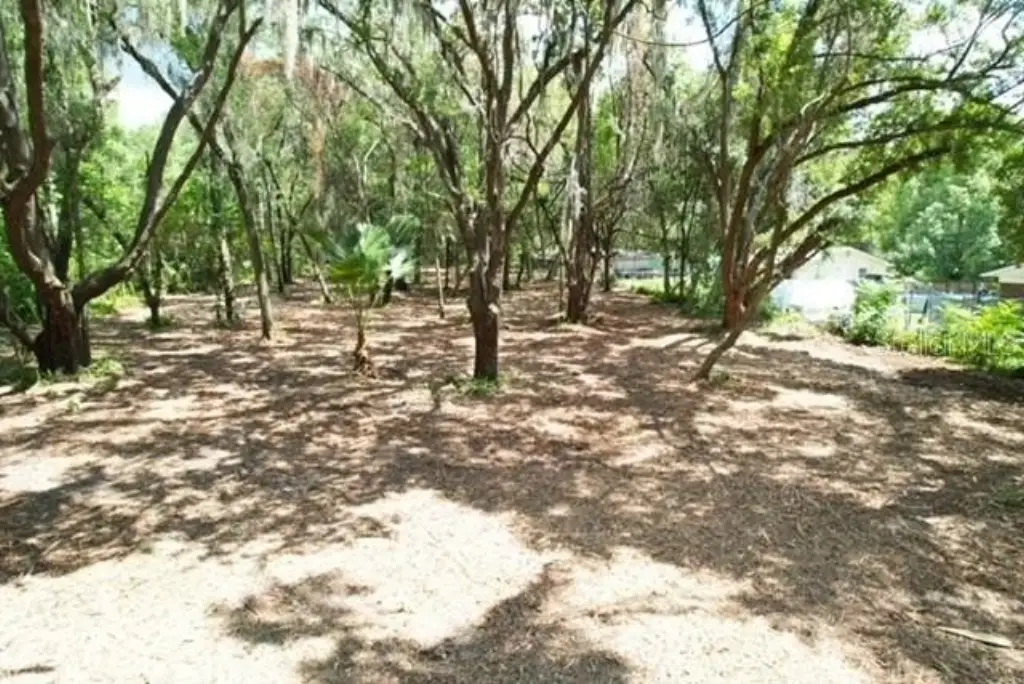 Picture 9