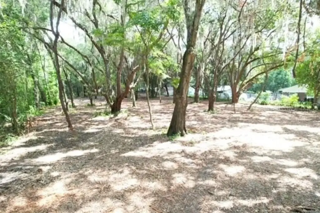 Picture 11