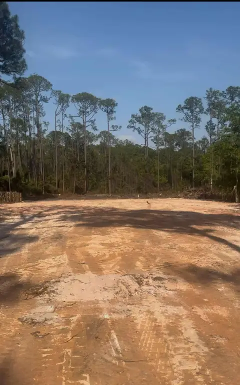 Picture 2