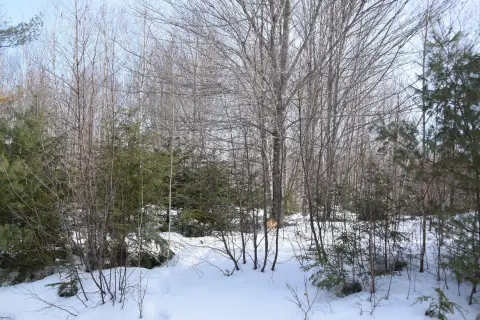 Land with Lake and Mountain Views