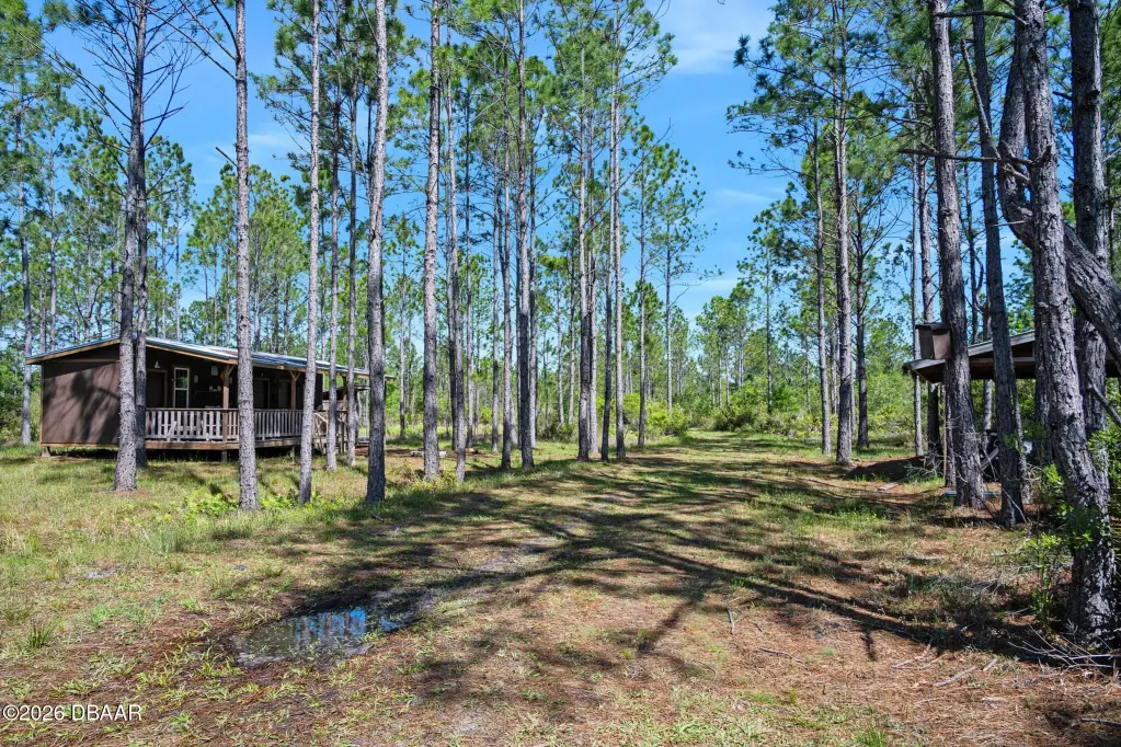 Picture 19